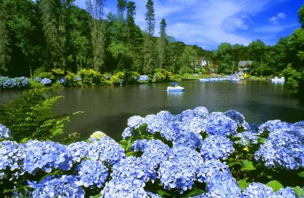 O famoso lago Negro